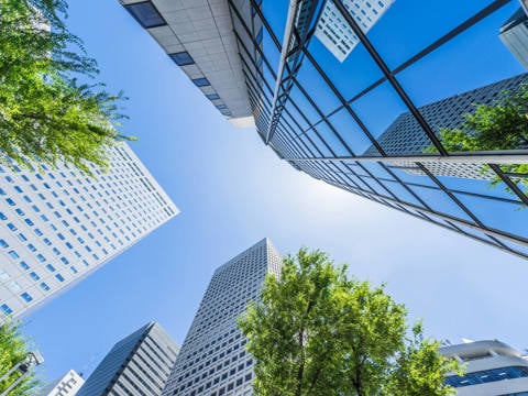 Building pictured from the ground up, surrounded with green trees